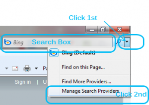 Search Box on Internet Explorer 8
