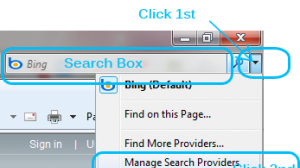 pit-search-box-internet-explorer-8-300x213