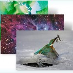 Windows 7 Theme - Best Bing 4 - Earth Day Windows 7 Theme - Best Bing 4 - Earth Day