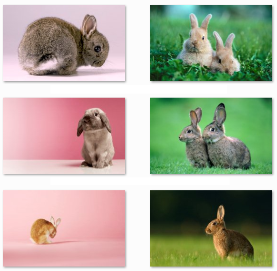 easter wallpapers. Easter bunny) wallpapers.