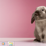 Windows 7 Theme - Rabbit (Easter)