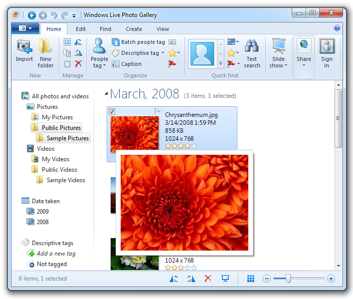 While in Windows Live Photo Gallery 2011 Options section you can ...