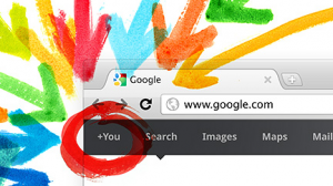 The Google Plus Project (Google+)