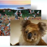 Australia - Windows 7 Theme Australia - Windows 7 Theme