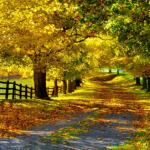 Autumn Wallpapers Autumn Wallpapers