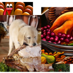 Thanksgiving Desktop Fun Wallpaper