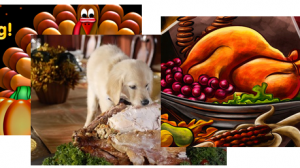 Thanksgiving Desktop Fun Wallpaper