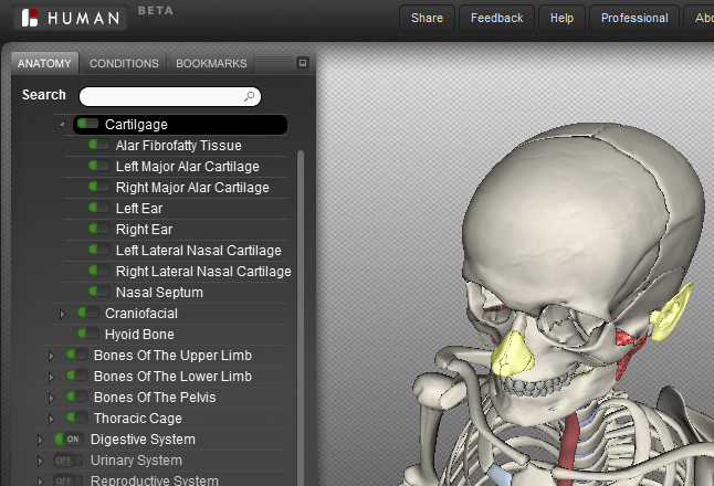 BioDigital Human - Anatomy content