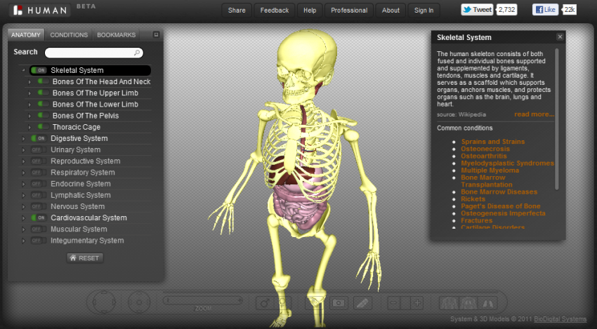 BioDigital Human - Google Chrome extension