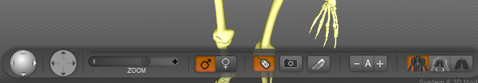 BioDigital Human - Toolbar