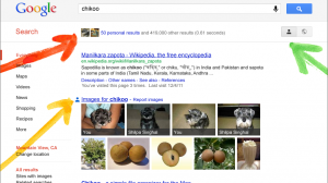 Google Search now integrates with Google+