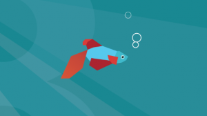 Windows 8 Consumer Preview - Betta Fish (Metro style)