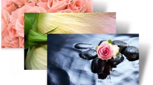 Roses theme for Windows 7