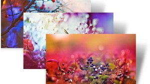 Dreamgarden Theme Windows 7 Download