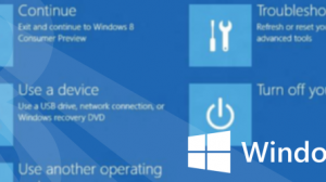 Boot options menu - Windows 8