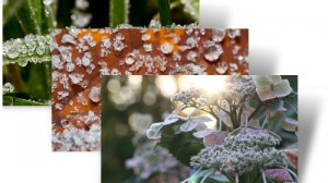 Frost Macros Theme for Windows 7