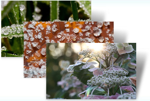 Frost Macros Theme for Windows 7
