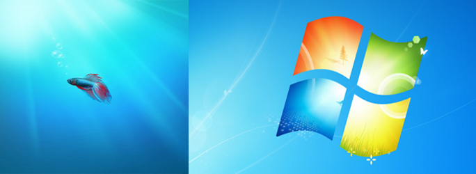 Vista and Windows 7 Upgrade