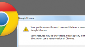 Chrome error message profile
