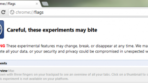 Flags Chrome 20