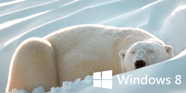 Hibernate Windows 8 bear