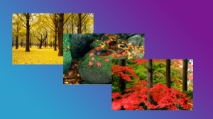Autumn image theme