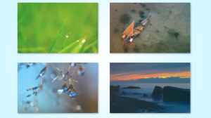 Free wallpapers Windows 8, Windows RT and Windows 7