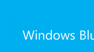 Windows Blue logo
