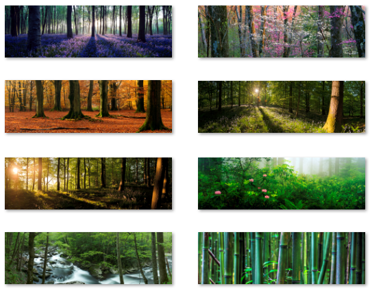 Desktop Fun Forests Panoramic Theme For Windows 8rt Dual Monitor Pureinfotech 2622