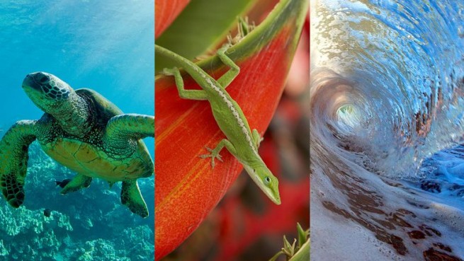 Hawaii theme for Windows (wallpapers collection)