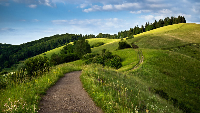 Path leading through the rolling hills, Kaiserstuhl, Baden-Würt