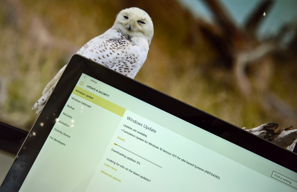 Windows 10 Version 1511 Gets Kb3124262 Cumulative Update Pureinfotech