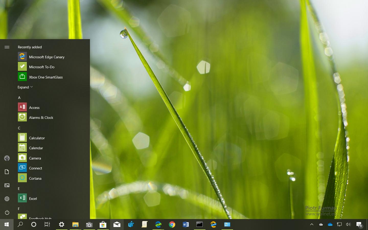 Green World theme for Windows 10 (Download) - Pureinfotech