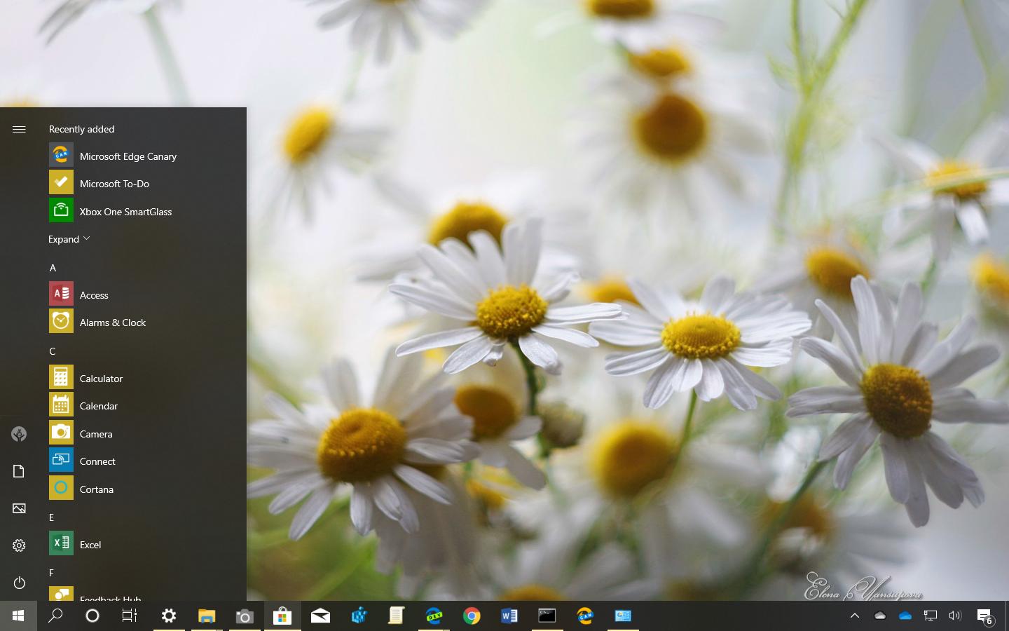 flower themes for windows 7