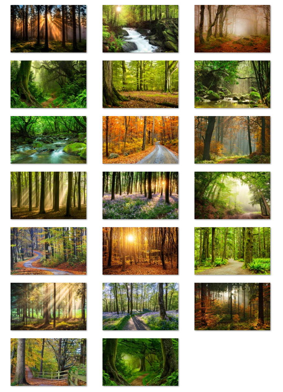 Forest For The Trees Theme For Windows Download Pureinfotech