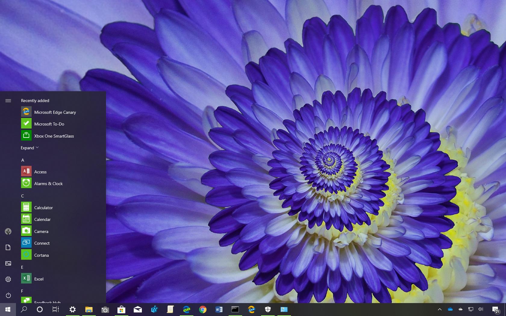 Macro Flowers theme for Windows 10 (download) Pureinfotech