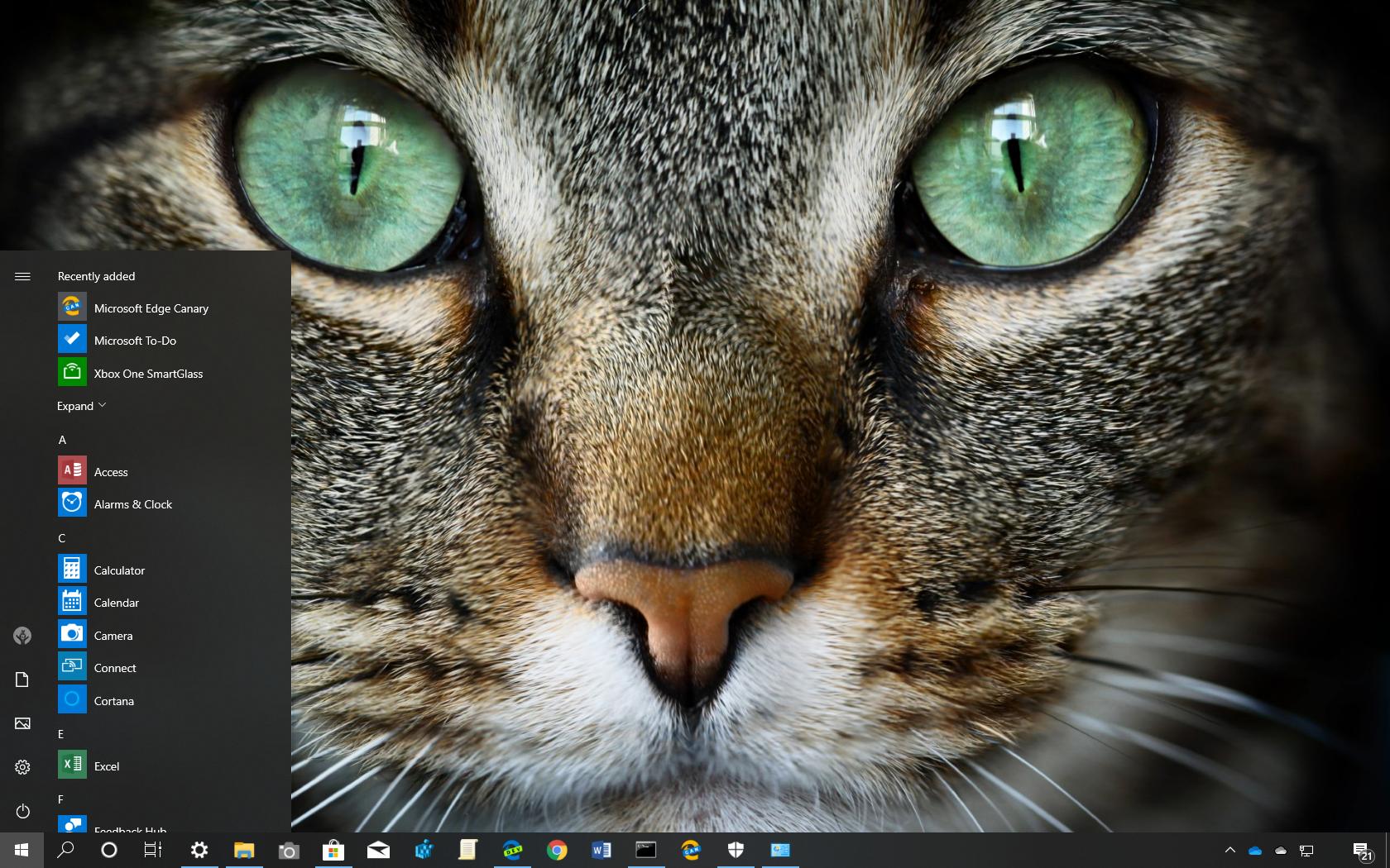 Cat Expressions theme for Windows 10 (download) - Pureinfotech