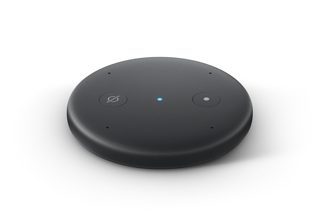 Echo Input