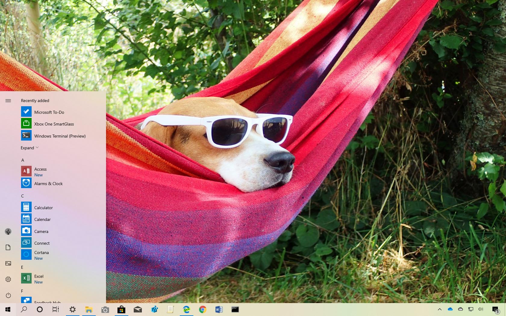 Dogs In Shades theme for Windows 10