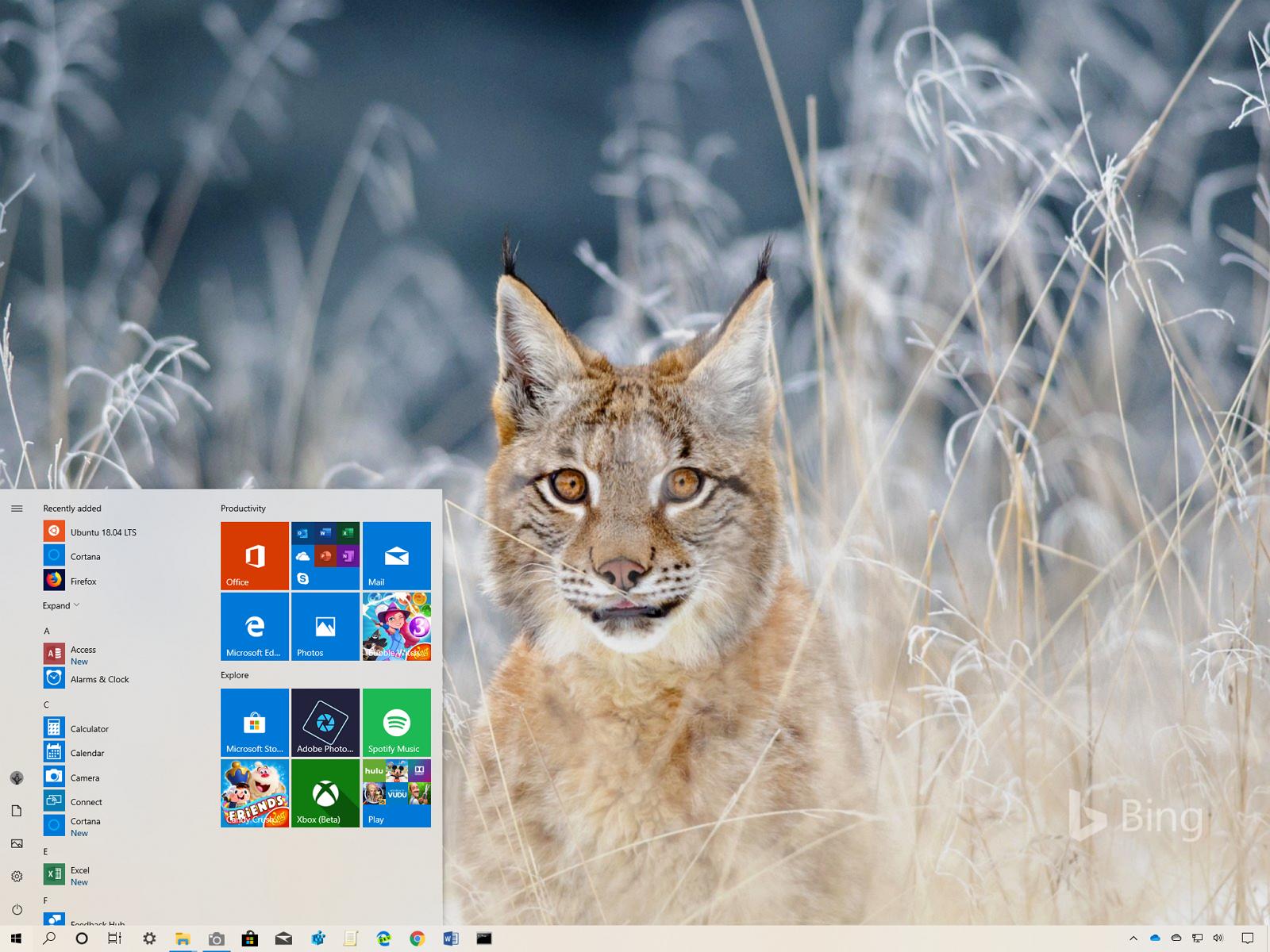 Bing Animals Theme For Windows 10 Download • Pureinfotech