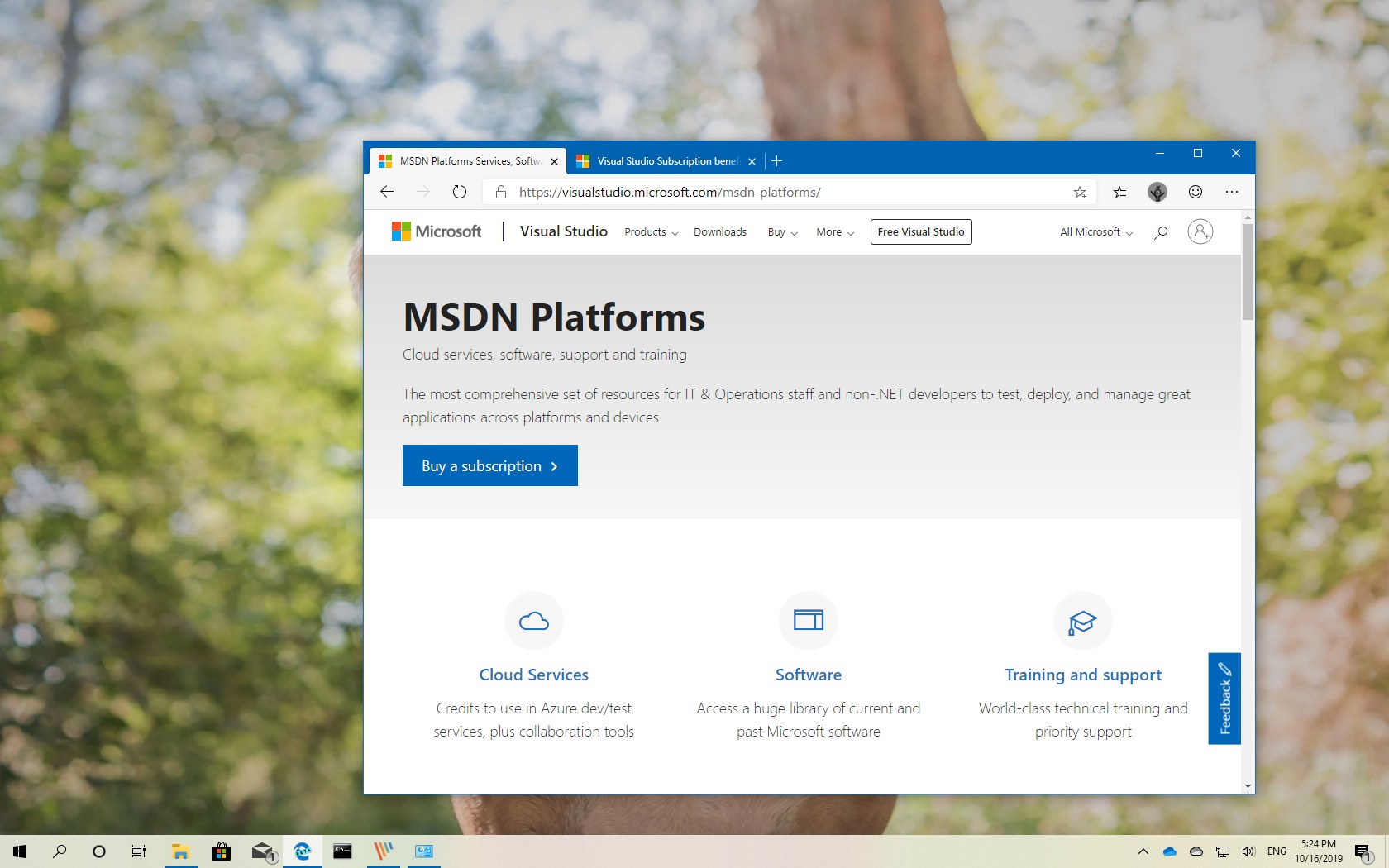 download msdn professional license cost