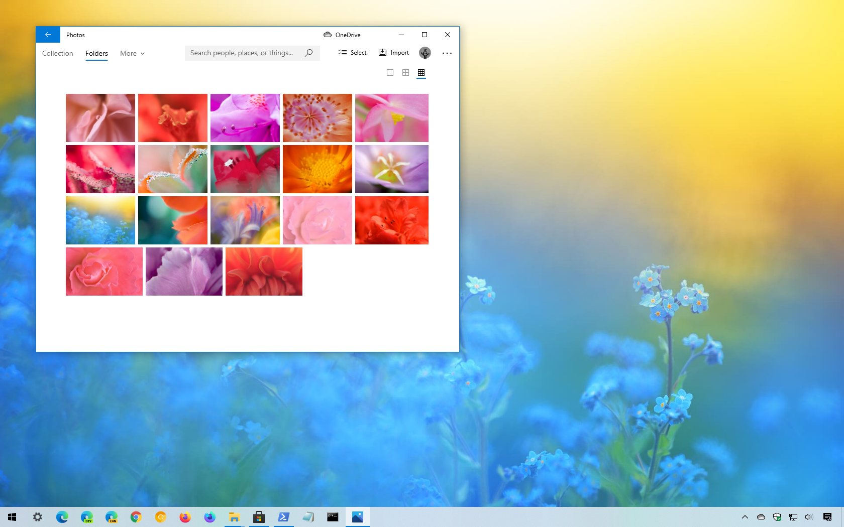 Flower Petals theme for Windows 10 (download) - Pureinfotech