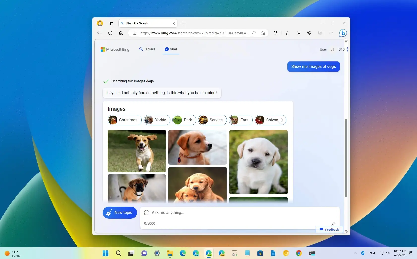 Bing Chat AI brings image and video search results - Pureinfotech