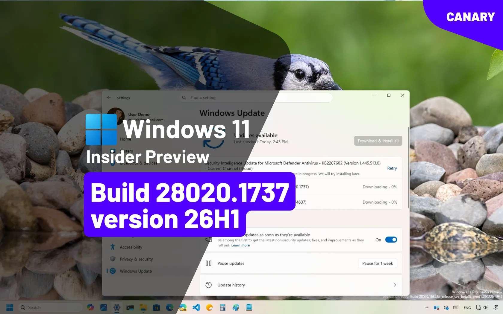 KB5079452 (build 28020.1737) for Windows 11 26H1 with settings